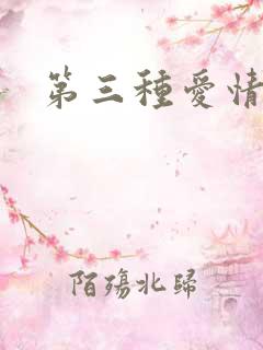 第三种爱情续集