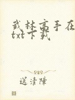 武林高手在校园txt下载