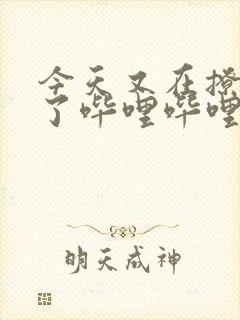 今天又在撩后妈了哔哩哔哩小说