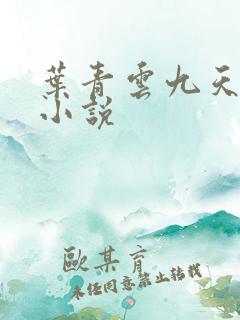叶青云九天玄宗小说