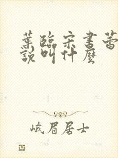 叶临宋书蕾的小说叫什么