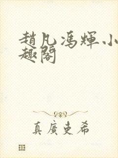 赵凡冯辉小说笔趣阁