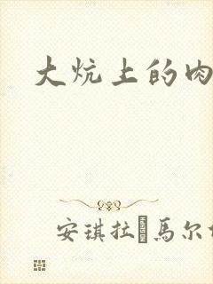 大炕上的肉伦二