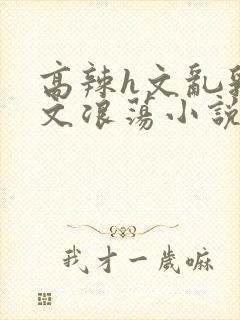 高辣h文乱乳h文浪荡小说苏媚