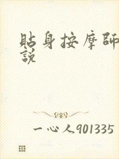 贴身按摩师 小说