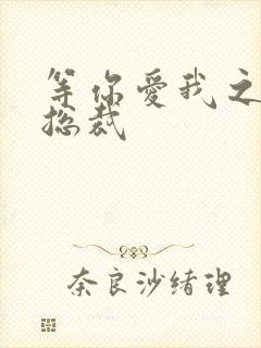 等你爱我之冰山总裁