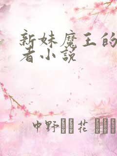 新妹魔王的契约者小说
