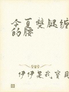 今夏双腿缠陆绎的腰