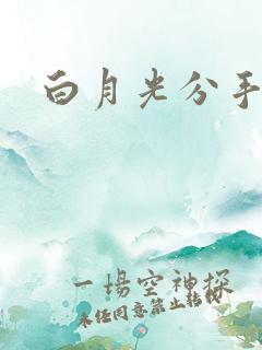 白月光分手日常