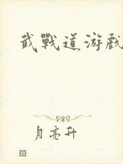 武战道游戏