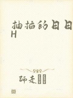 抽插的日日液液H