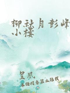 柳秋月彭峰月满小楼