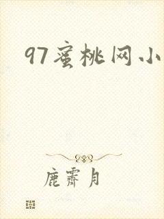 97蜜桃网小说