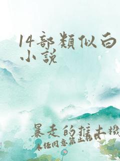 14部类似白洁小说