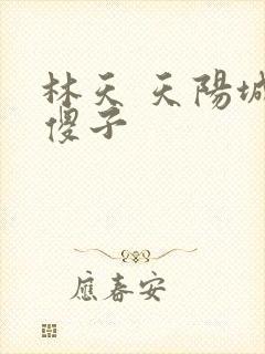 林天 天阳城 傻子