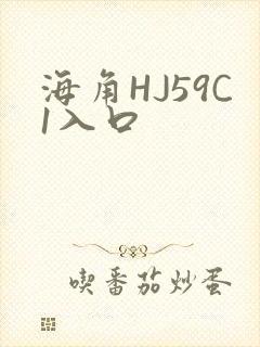 海角HJ59C1入口