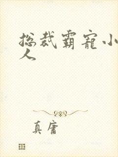 总裁霸宠小小女人