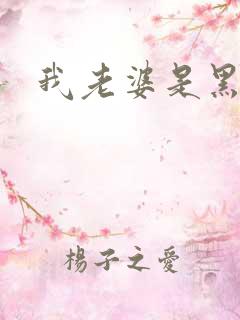 我老婆是黑社会