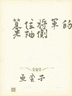 篡位将军的白月光袖侧