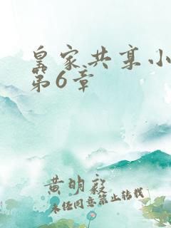 皇家共享小公主第6章
