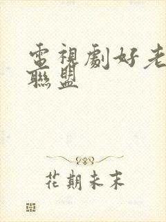 电视剧好老婆大联盟