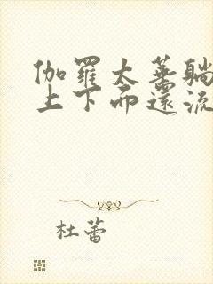 伽罗太华躺在床上下面还流东西