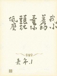 低头看着我是怎么玩你的小说