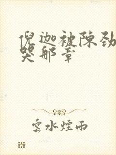 倪迦被陈劲生做哭那章