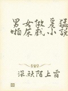 男女做爰猛烈啪啪床戏小说
