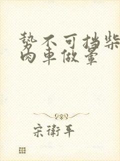 势不可挡柴鸡蛋肉车做晕