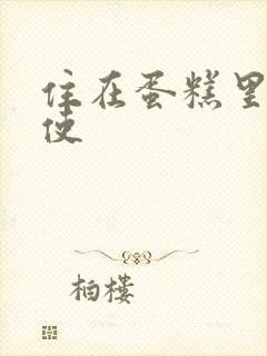 住在蛋糕里的天使