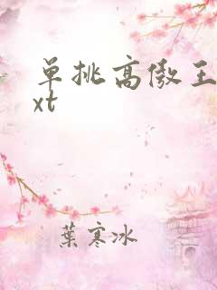 单挑高傲王子txt