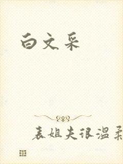 白文采