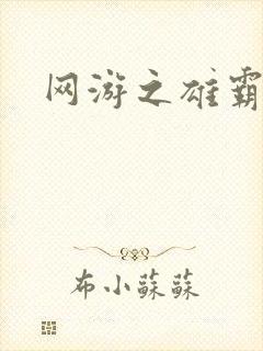 网游之雄霸天下