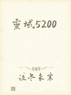 灵域5200