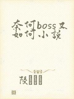 奈何boss又如何小说