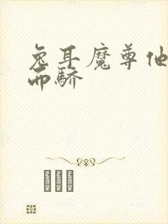 兔耳魔尊他恃宠而骄