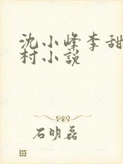沈小峰李甜的乡村小说