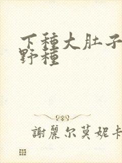 下种大肚子怀孕野种