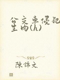 公交车侵犯小男生肉(h)