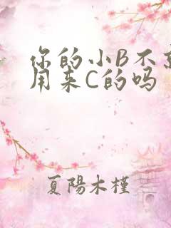 你的小B不就是用来C的吗