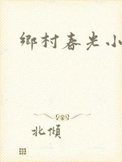 乡村春光小说
