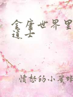 金庸世界里的小道士