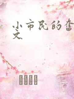 小市民的奋斗燃文