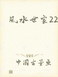 风水世家229