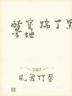 酷宝 踹了黑道爹地