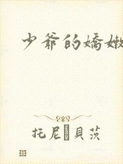 少爷的娇嫩女仆