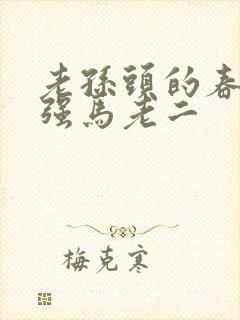 老孙头的春天马强马老二