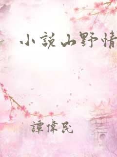 小说山野情债