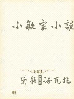 小敏家小说